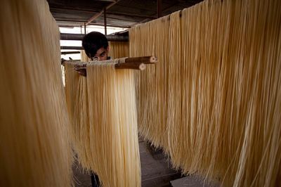 فروش خط تولید ماکارونی، پاستا و لازانیا3