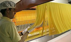 فروش خط تولید ماکارونی، پاستا و لازانیا2