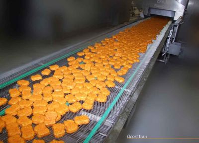 فروش خط تولید ناگت مرغ3