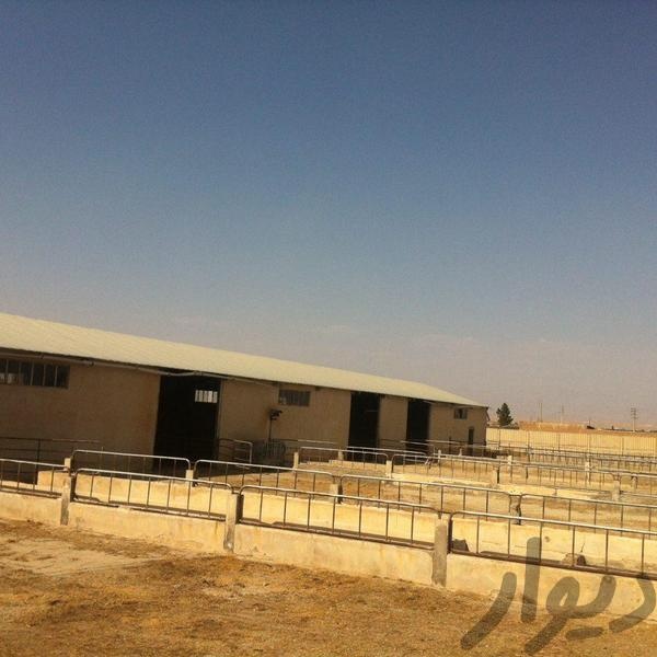 فروش گاوداری در شهریار0