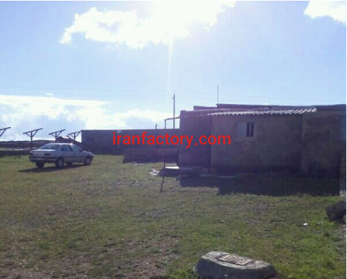 8500 متر گاوداری 30 راسی با وام فروشی در سنقر1