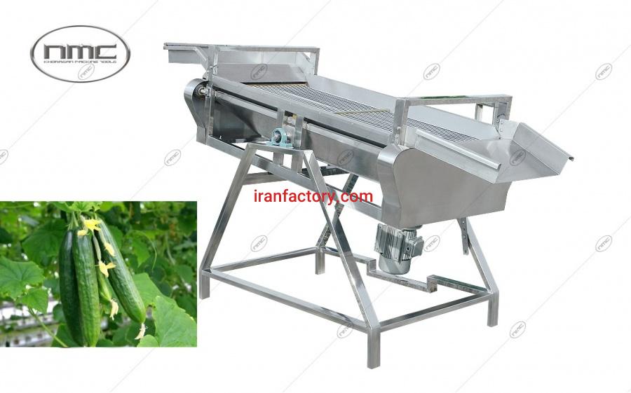 گل گیر خیار0