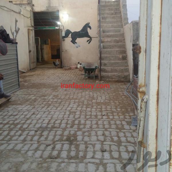 فروش دامداری و اصطبل اسب2