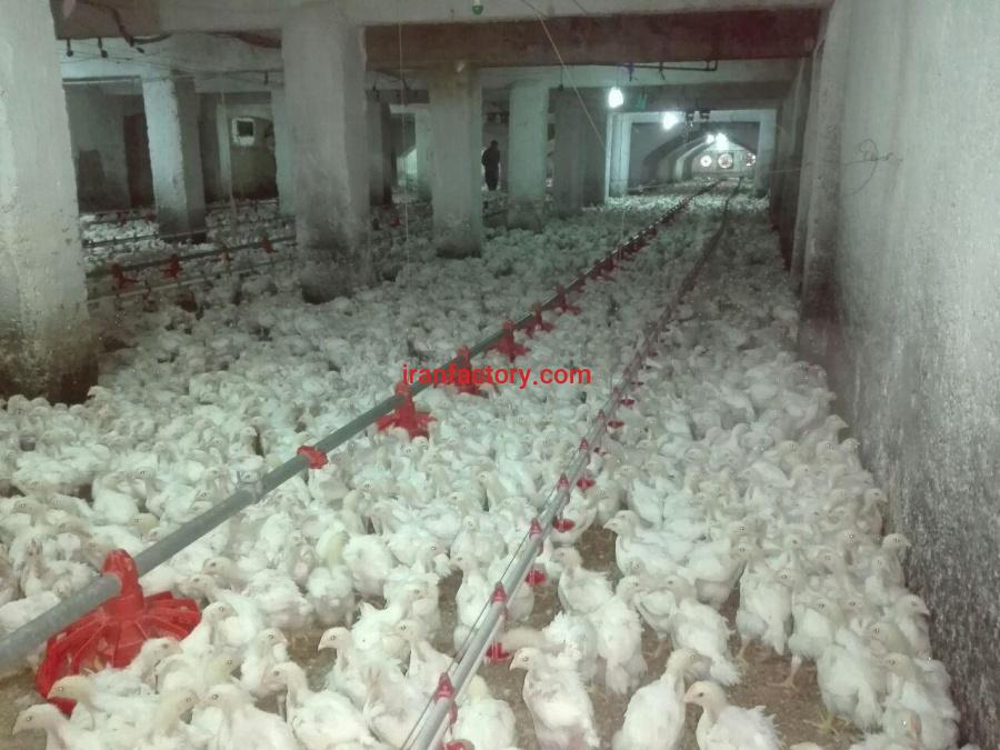 فروش یک واحد مرغداری گوشتی صنعتی در گرمسار1