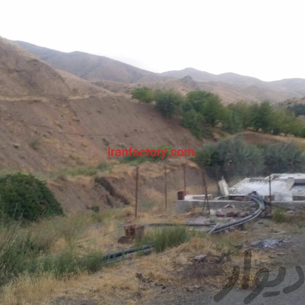 فروش پرورش ماهی در کرمانشاه1