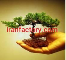 فروش اسید هیومیک0