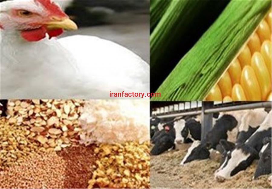 مشارکت و تولید خوراک دام و طیور0