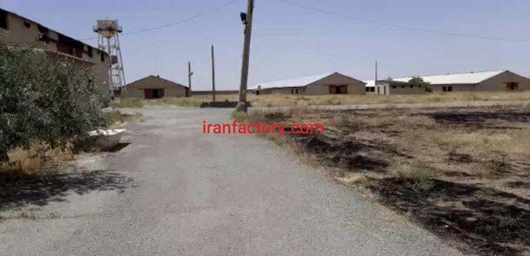 حراج مرغداری گوشتی 60000 تایی در اشتهارد2