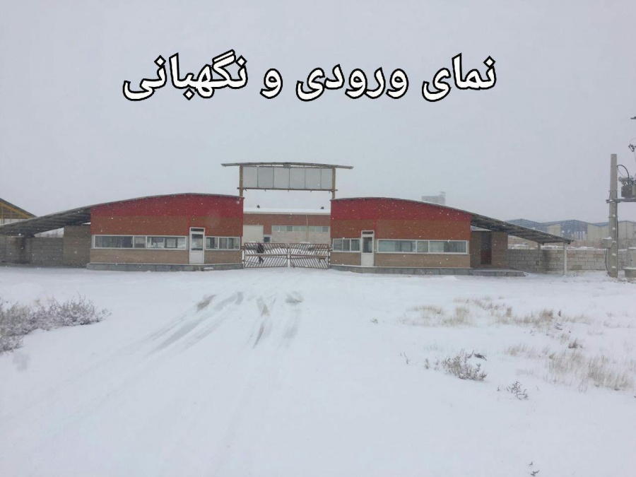 فروش کارخانه تولید کشمش و میوه و سبزیجات خشک در ابهر0