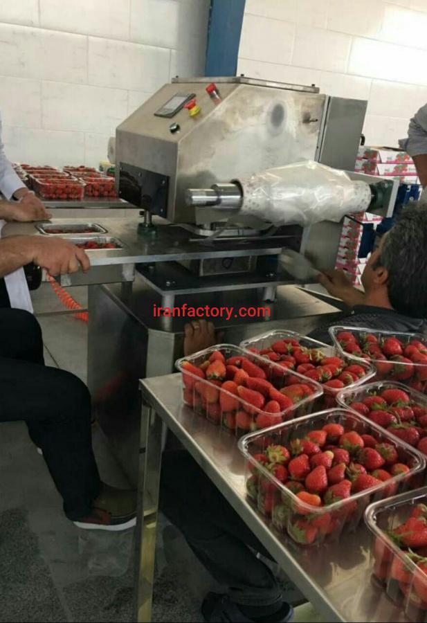 فروش خط سورتینگ میوه0
