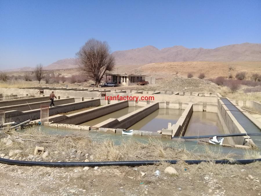 فروش پرورش ماهی در سمیرم2