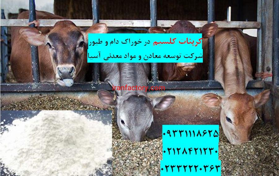 فروش کربنات کلسیم در تهیه خوراک دام و طیور0