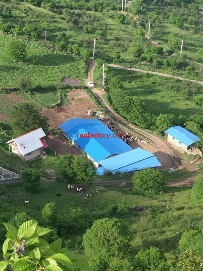 فروش دامداری در مرزن آباد بهترین فرصت سرمایه گذاری3