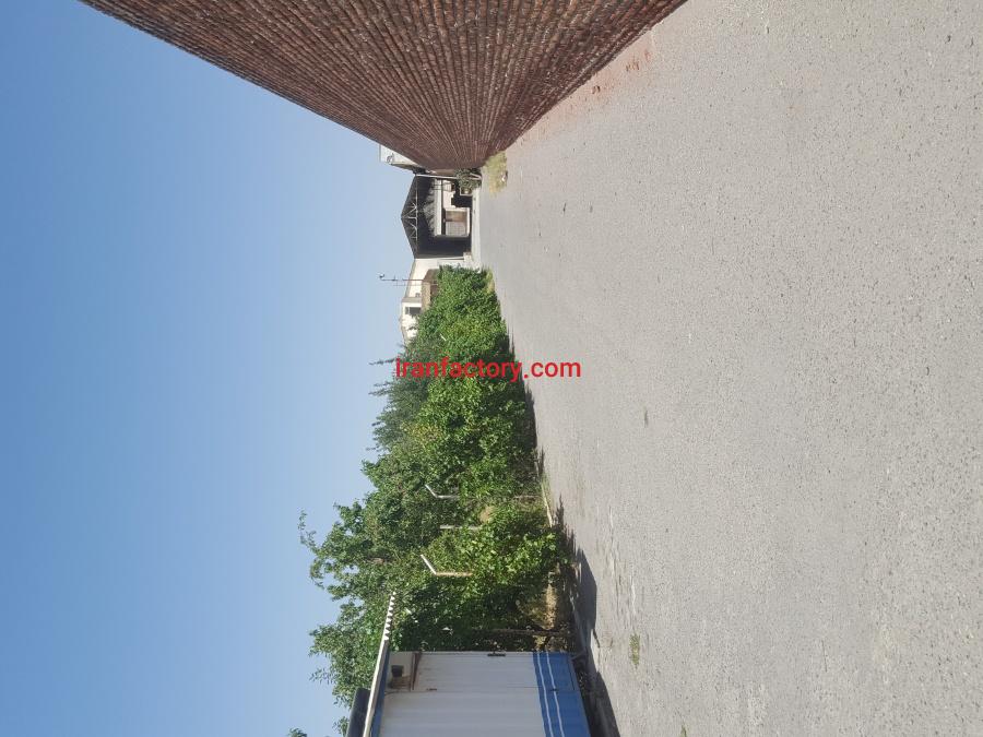 کارخانه خشکبار و سبزه پاکنی1