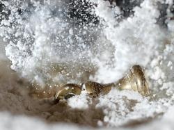 خرید و فروش آرد صادراتی و آرد دامی صادراتی5