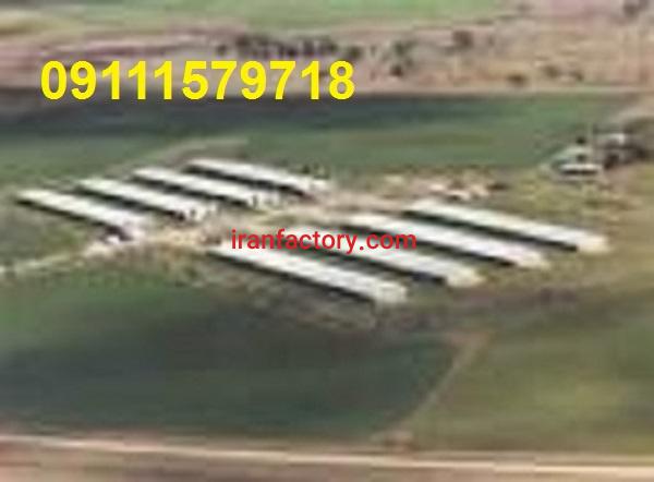 فروش مرغداری مازندران1