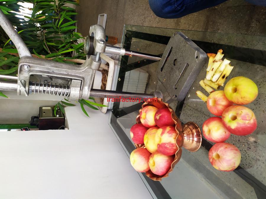 کارشناس فروش دستگاه خشک کن میوه و سبزی در اصفهان4