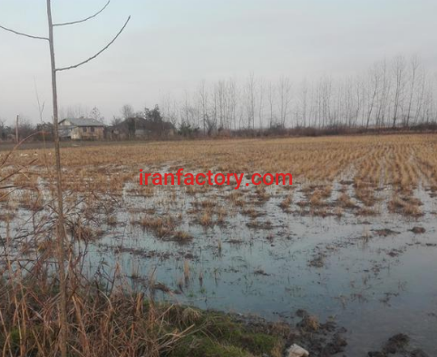 فروش 8000 متر زمین جهت سوله یا تالار در آستانه اشرفیه0