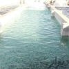 فروش پرورش ماهی در کوهک تهران1