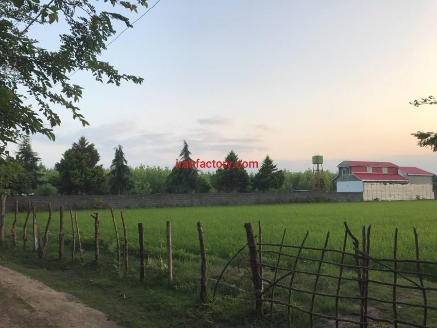 ‎شرکت بسته بندی همراه وام و 2000متر زمین در گیلان2