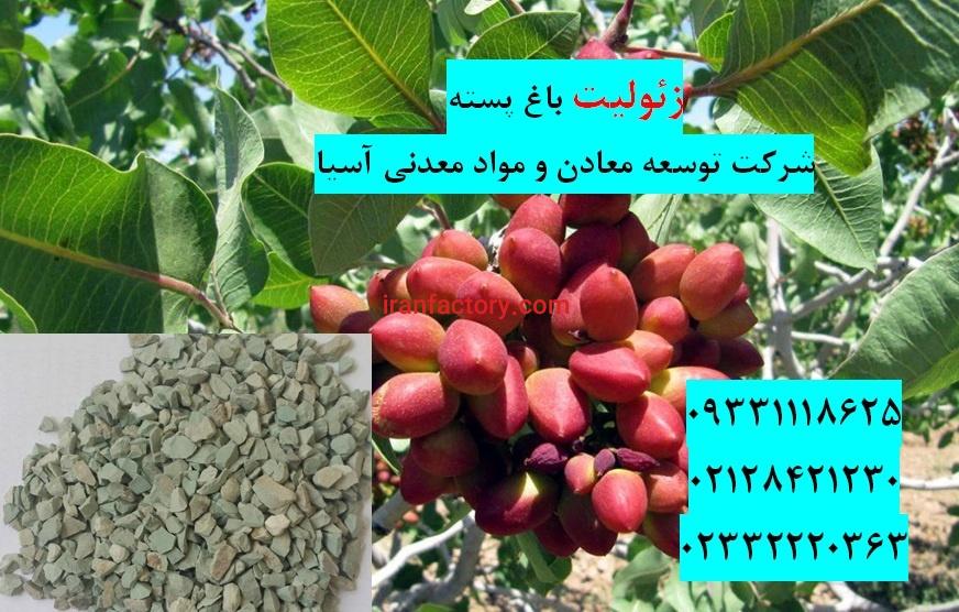 فروش زئولیت در کاشت نهال پسته0