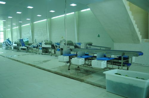 فروش کارخانه فرآوری سبزیجات- ایلام1