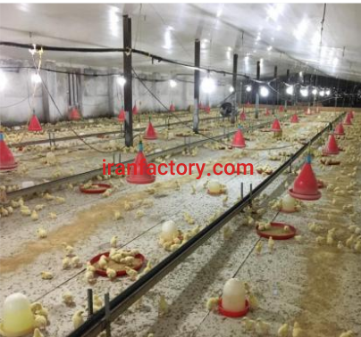 فروش 15000 متر مرغداری در مازندران3