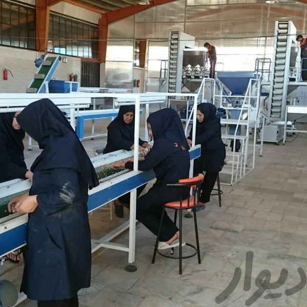 فروش کارخانه مواد غذایی در شهرک صنعتی مامونیه3