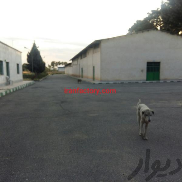 فروش کارخانه بهداشتی در کرج1