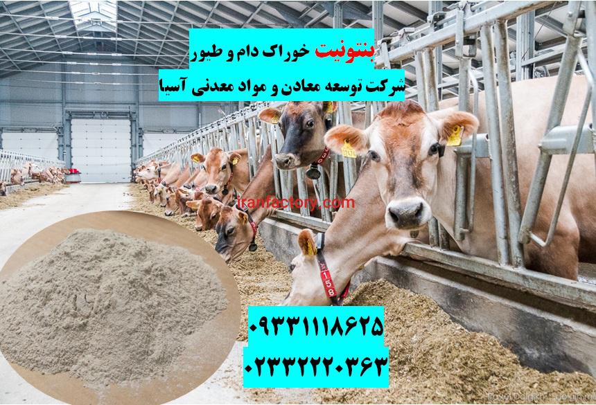 فروش بنتونیت ویژه خوراک دام و طیور در تهران0