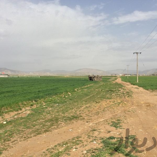 فروش کارخانه برنجکوبی تمام اتوماتیک در شیراز1