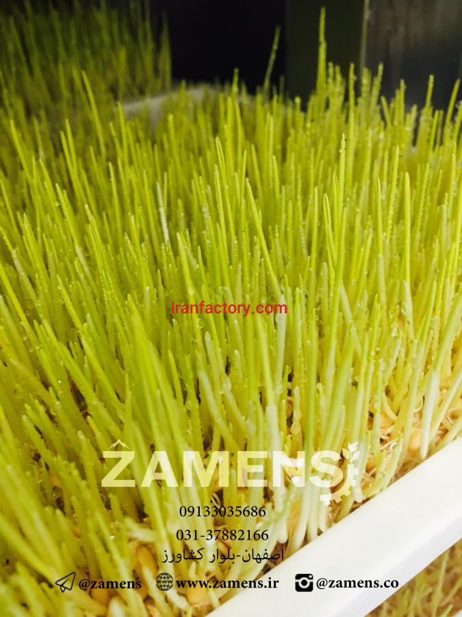 بهترین مارک دستگاه تولید جوانه2