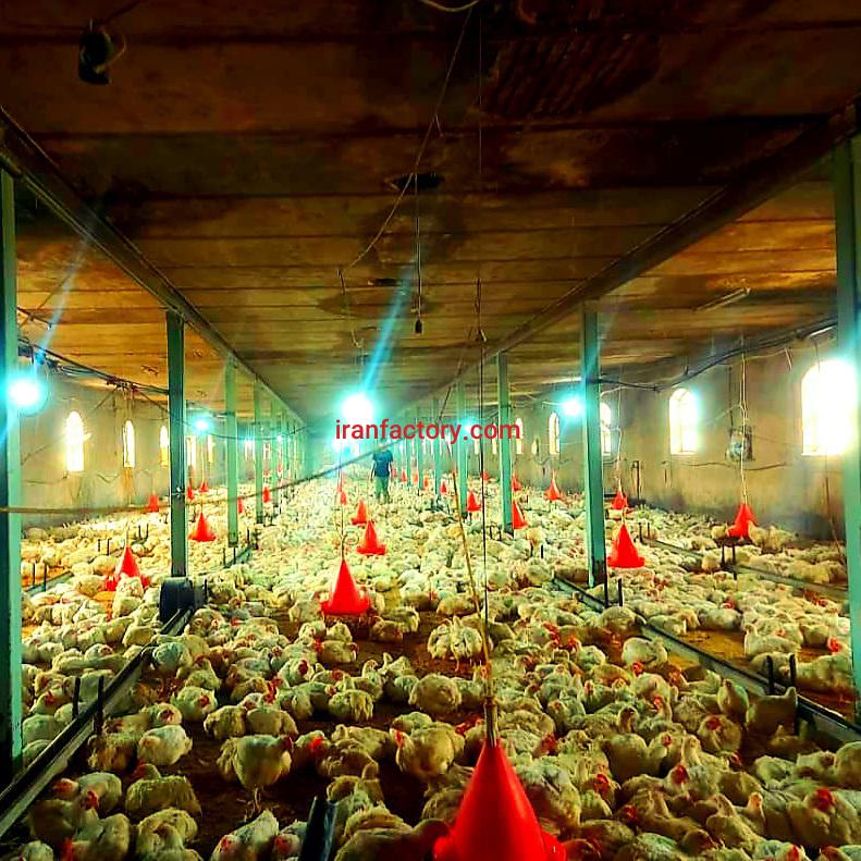 فروش مرغداری ۲۰هزار متری در لرستان0