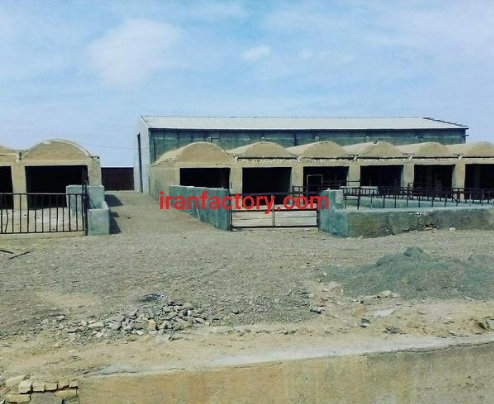 فروش 6000 متر گاوداری در ابرکوه0