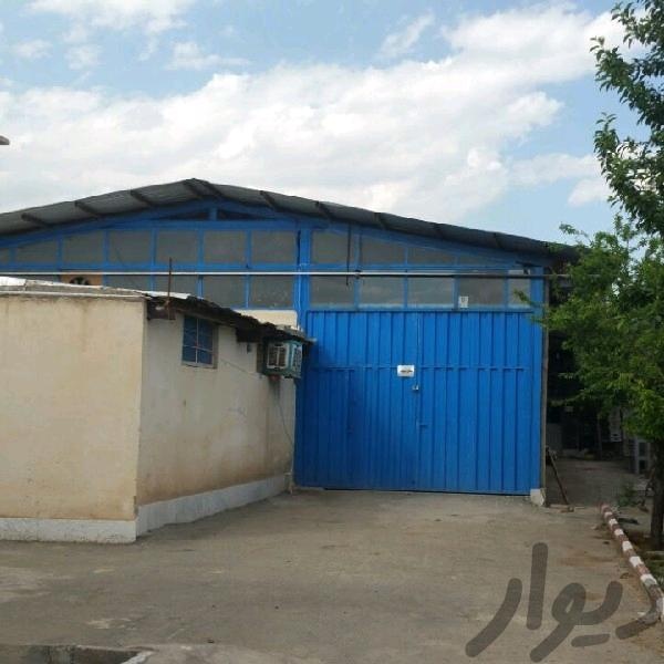 فروش زمین 600متری با سوله در منظریه0