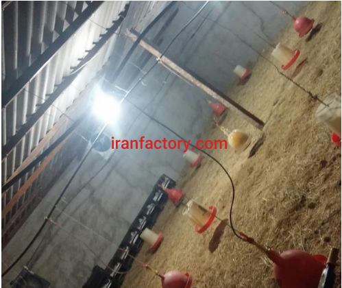 فروش یا معاوضه سالن پرورش مرغ در مسجد سلیمان0