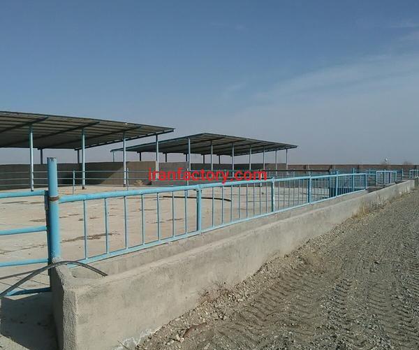 فروش گاوداری شیری صنعتی وپرورش ماهی در تهران1