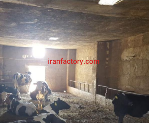 فروش 3300 متر دامداری در سلفچگان1