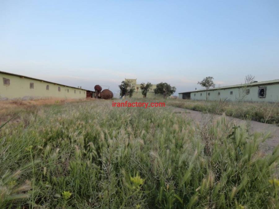 فروش مرغداری گوشتی 30000 تایی در تهران8