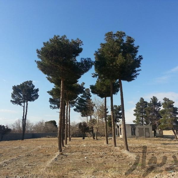 معاوضه زمین5000متری باآپارتمان در مهرشهرفاز3211