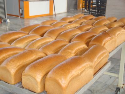 فروش کارخانه نان حجیم در فریمان 1