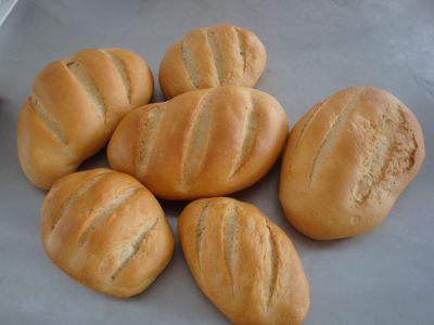 فروش کارخانه نان صنعتی  با بهترین شرایط  و امکانات8