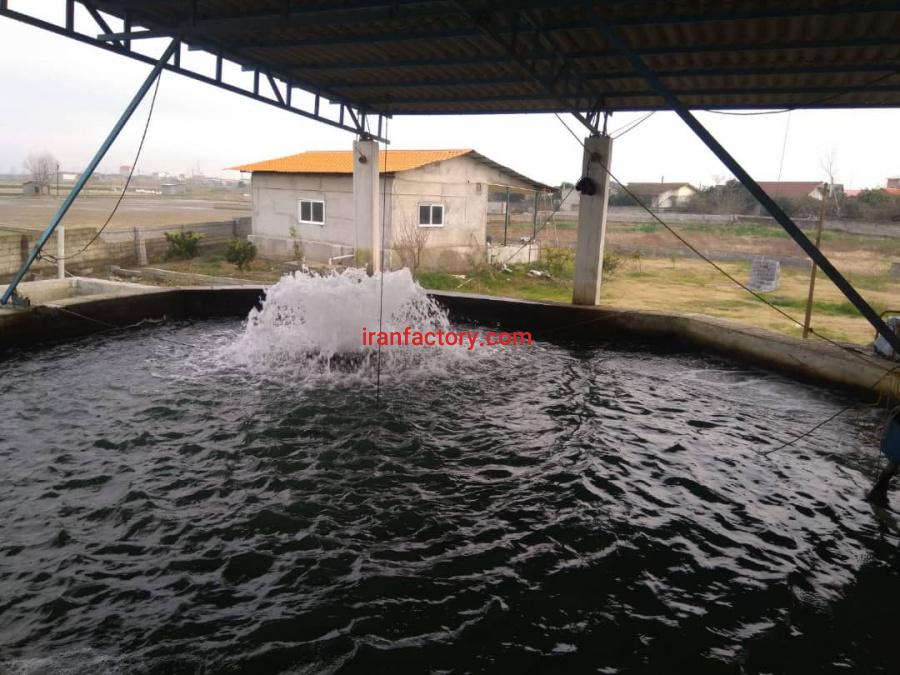 فروش 7800 متر استخر پرورش ماهی قزل الا در آمل2
