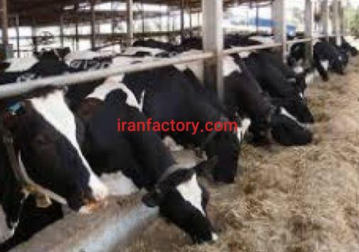 فروش 4800 متر دامداری در آمل0