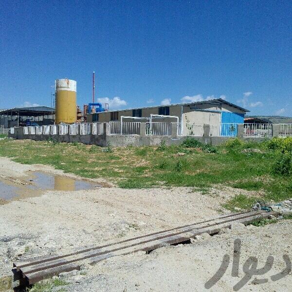 فروش کارخانه موزاییک سازی در کرمانشاه2