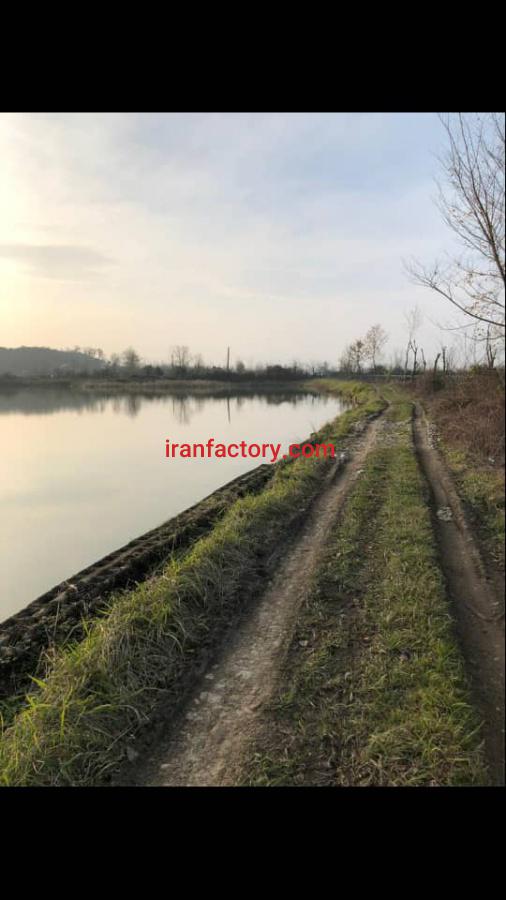 فروش پرورش ماهی در فومن1