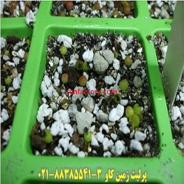 مزیت های استفاده از پرلیت در رشد و پرورش بذر Perlite0