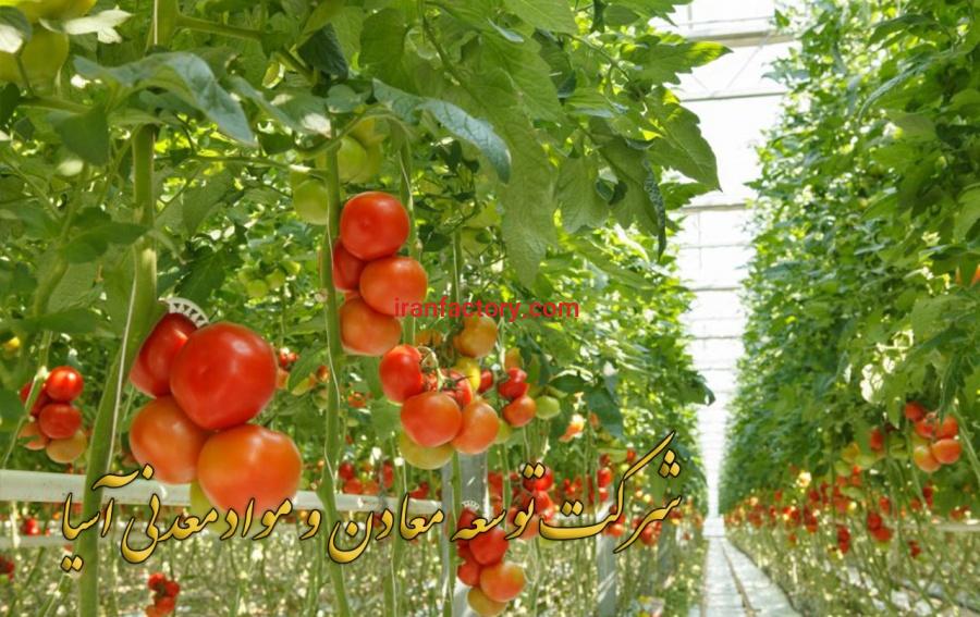 شرکت توسعه معادن و مواد معدنی آسیا1