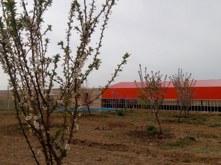 فروش کارخانه واقع در شهرک صنعتی بستان آباد1