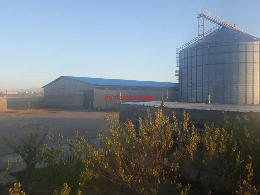 فروش سیلوی گندم با مجوز آرد1